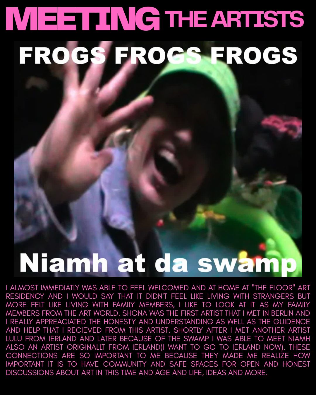 Pink Spy's Meeting the Artists page, featuring Niamh at da swamp